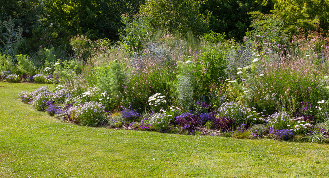 What Time of Year Should You Aerate Your Lawn?